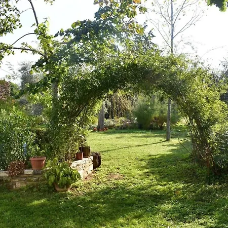 Charming Vacation With Garden Lejlighed Umag